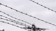 Flugzeug im Landeanflug überfliegt Stacheldraht - Zeitlupe