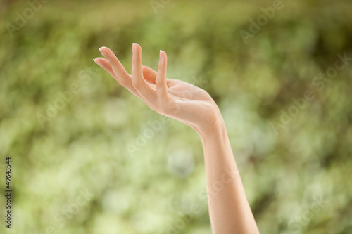 Photo: Beautiful Woman Hand Beautiful Woman Hand