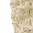 Osteoporose - 3D render