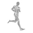 3D-Illustration: Jogging / Skelett Röntgenbild