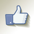Like papier Blau Weiss Icon