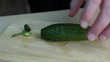 Cutting cucumber