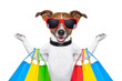 shopping dog