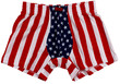 American Flag male pants isolated on white background