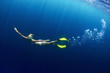 Sea