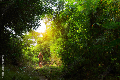 Photo: Forest Forest