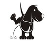 Perro_2
