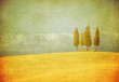vintage tuscan landscape