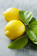 Foto: fresh lemon fresh lemon