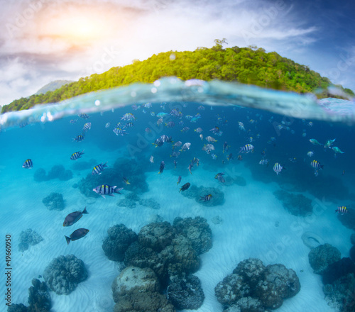 Photo: Sea Sea