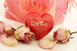 Foto: Rosen-Stillleben Rosen-Stillleben