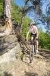 biker, mountainbiker, fahrrad, wald, gebirge, forest, mountain
