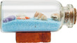 Shells In Bottle