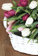 Korb voller Tulpen
