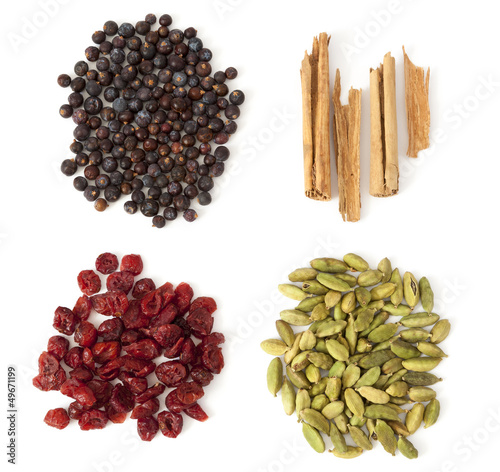 Photo: Four Spices and Berries for Gin Tonic Four Spices and Berries for Gin Tonic