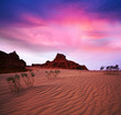 Gobi