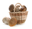 Photo: mushrooms in a basket mushrooms in a basket