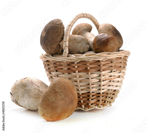 Photo: mushrooms in a basket mushrooms in a basket
