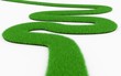 grass winding road