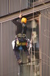 Worker