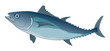 Vector: blue tuna blue tuna