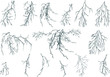 set of fifteen lightnings on white