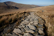 Stone footpath.