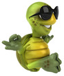 Fun turtle