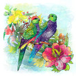 parrots and flowers
