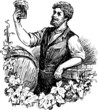 brewer