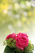 strauss mit rosen vor frühlingsbokeh