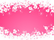 Vector: Cherry flowers Cherry flowers