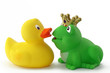 Foto: ente und frosch ente und frosch