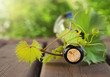 Bottle of wine on the wooden table outdoors