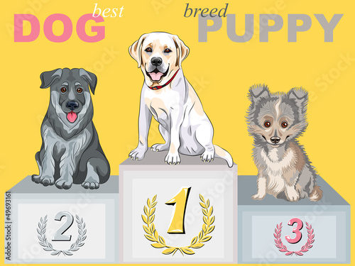 Vector: vector happy puppy dog champion on the podium vector happy puppy dog champion on the podium