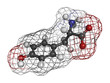 Tyrosine (Tyr, Y) amino acid, molecular model.