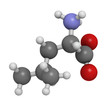 Leucine (Leu, L) amino acid, molecular model.