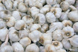 A frame full of garlic