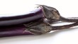 Eggplant on a white background