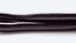 Eggplant on a white background