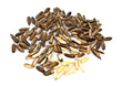 Jalghoza or Pine Nuts