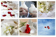 different wedding simbols