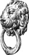 door handle in the form of a lion's head