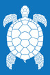 Sea turtle