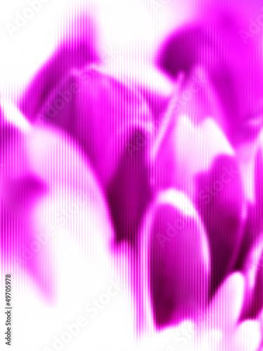 Illustration: abstract flower abstract flower