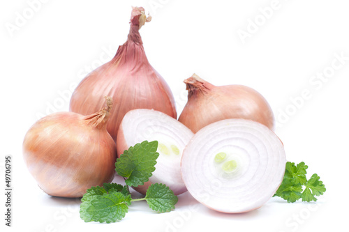 Photo: Frische Zwiebeln Frische Zwiebeln