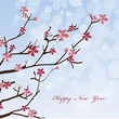 Spring Flowers Background
