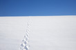 Spuren im Schnee