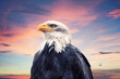 Foto: Bald Eagle Bald Eagle