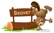 A beaver performing a handstand beside a signboard